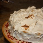 Playing with the torch was the best part of making this cake!