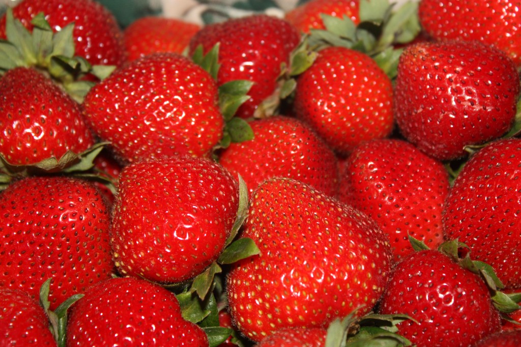 Fresh Strawberries