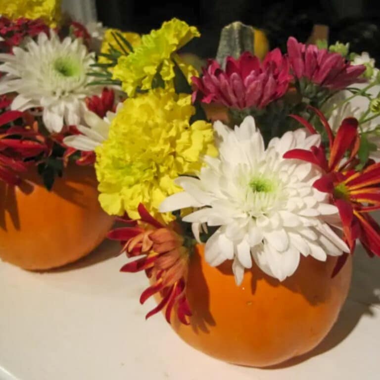 DIY Pumpkin Centerpiece