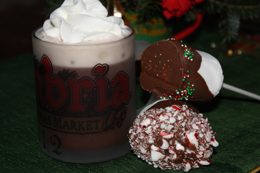 Cuddle up with a cup of hot cocoa, with a giant chocolate covered marshmallow!