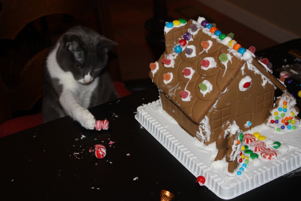 Gingerbread-House-kit