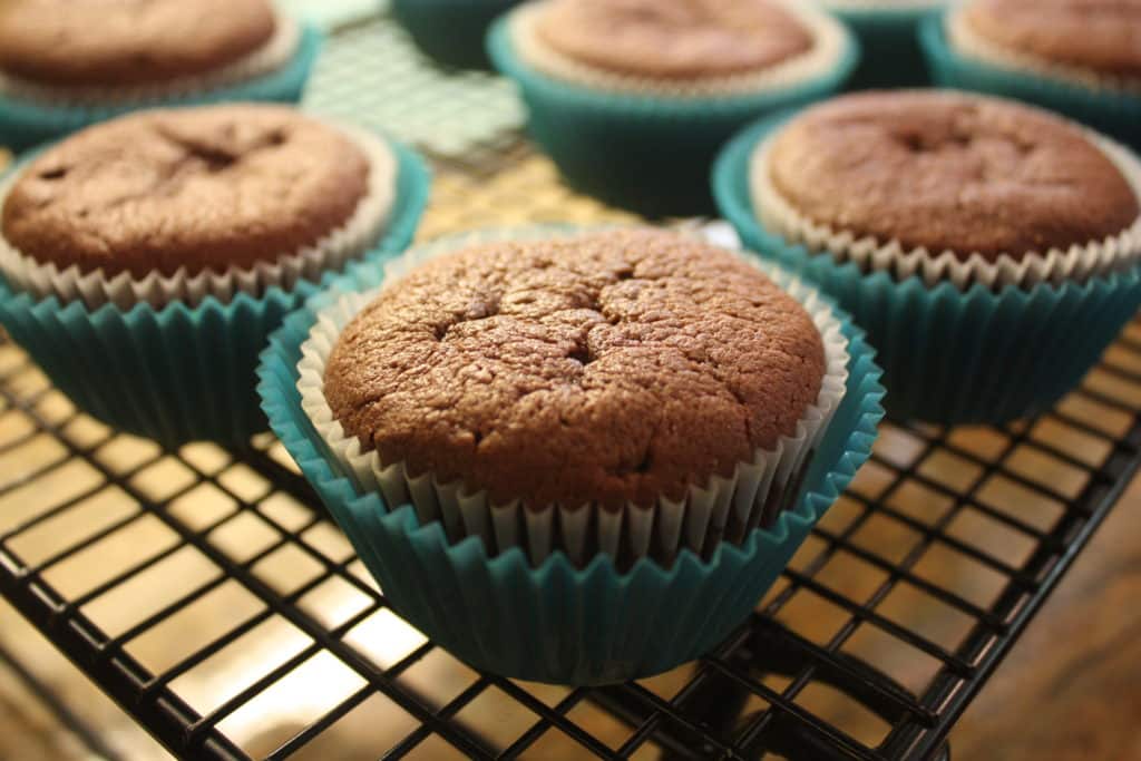 chocolate`cupcakes-dense-yields-12-Everyday