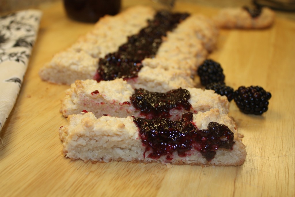 macadamia-coconut-blackberry-jam-cookie-slices