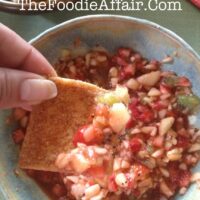 Fruit Salsa with a cinnamon pita chip