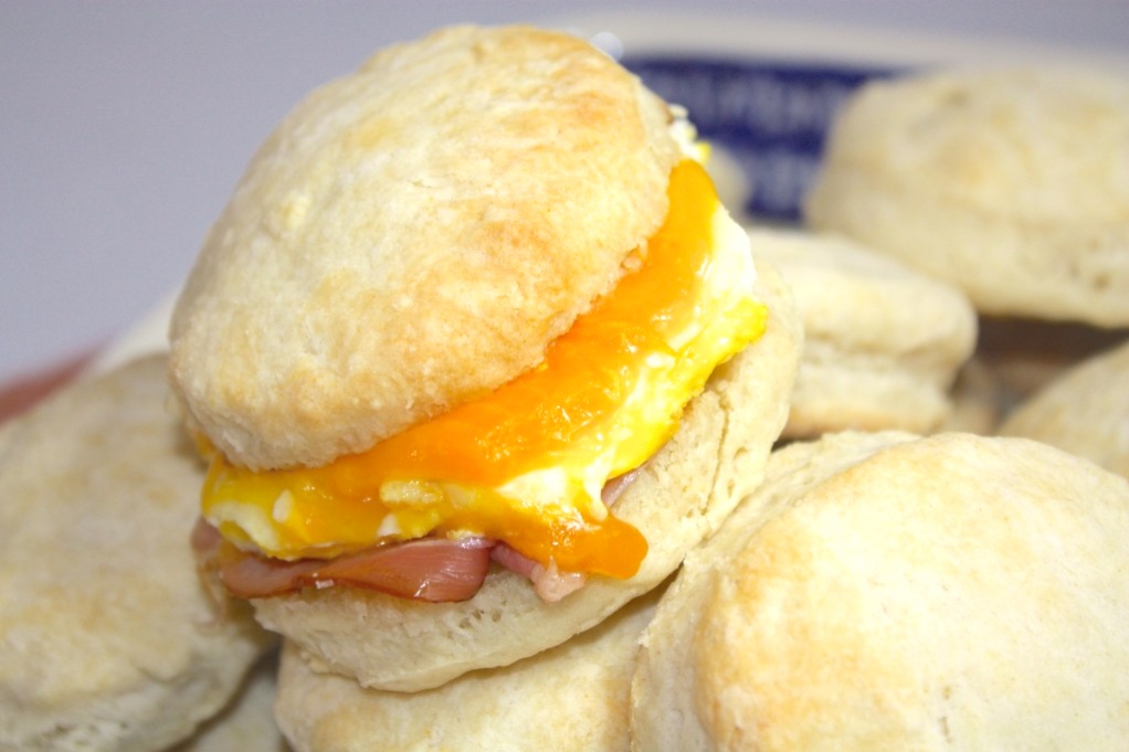 A close view of a biscuit filled with cheese and egg.