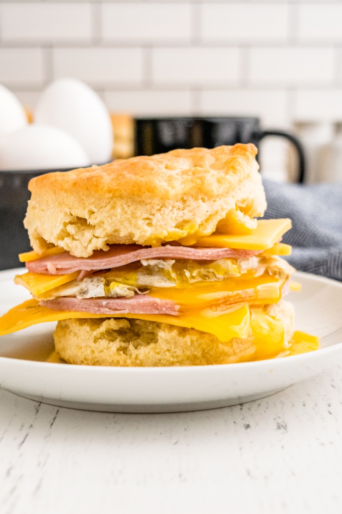 Biscuit sandwich on a white plate ready to enjoy.