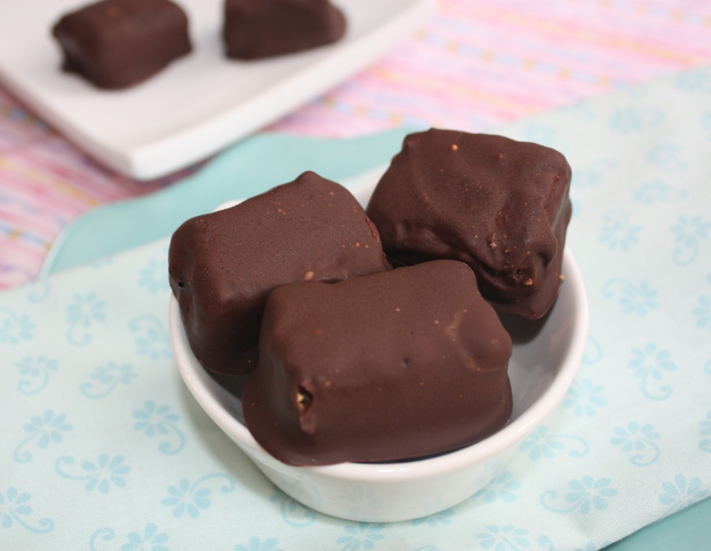 Chocolate Covered Cheesecake Bites