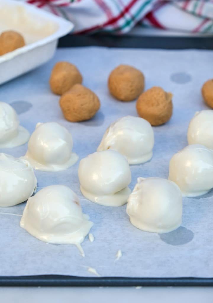 White chocolate covered peanut butter balls on a baking sheet. 