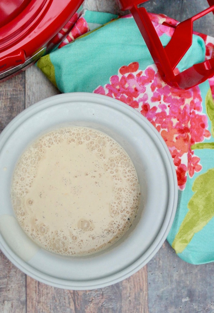 The cooled ice cream ingredients are placed in the ice cream frozen insert.