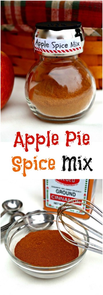 Homemade Apple Pie Spice Mix for all your favorite recipes you enjoy during autumn - The Foodie Affair