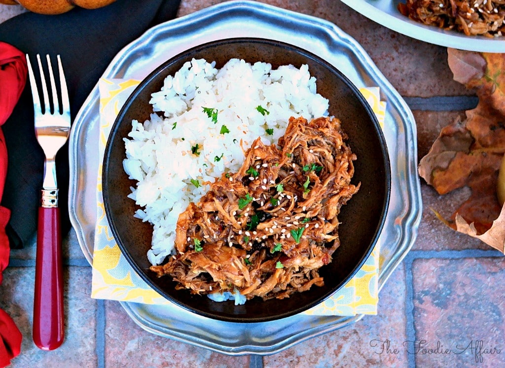 Honey Garlic Shredded Chicken - The Foodie Affair