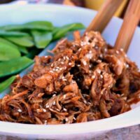 Honey Garlic Shredded Chicken - The Foodie Affair