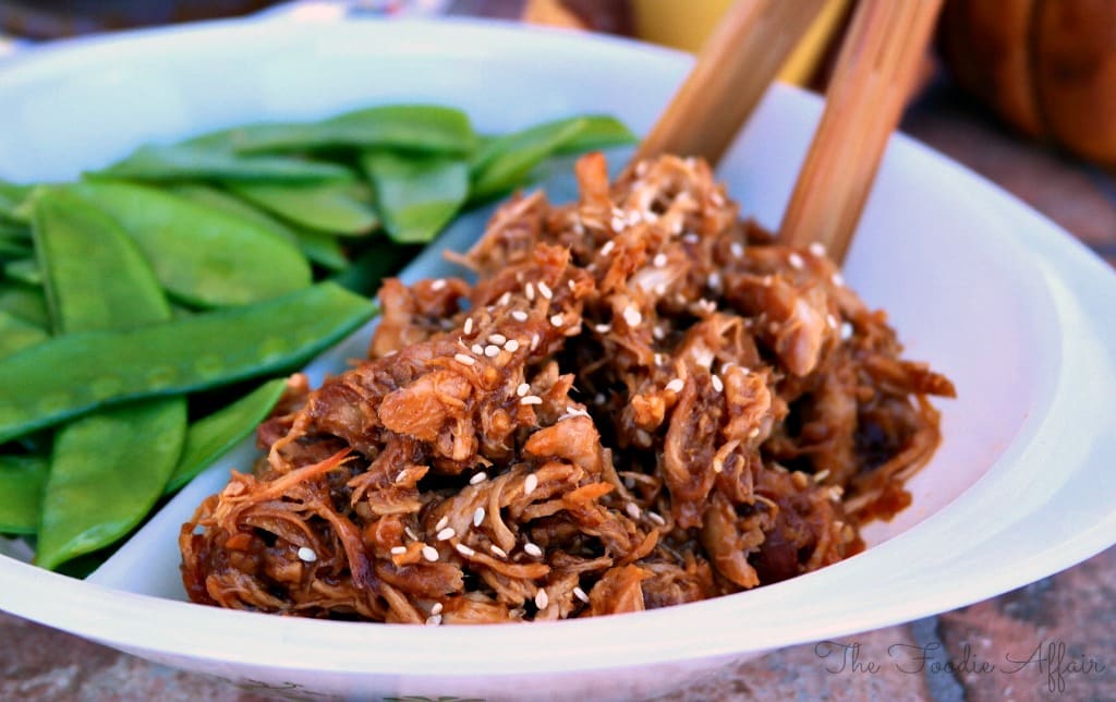 Honey Garlic Shredded Chicken - The Foodie Affair