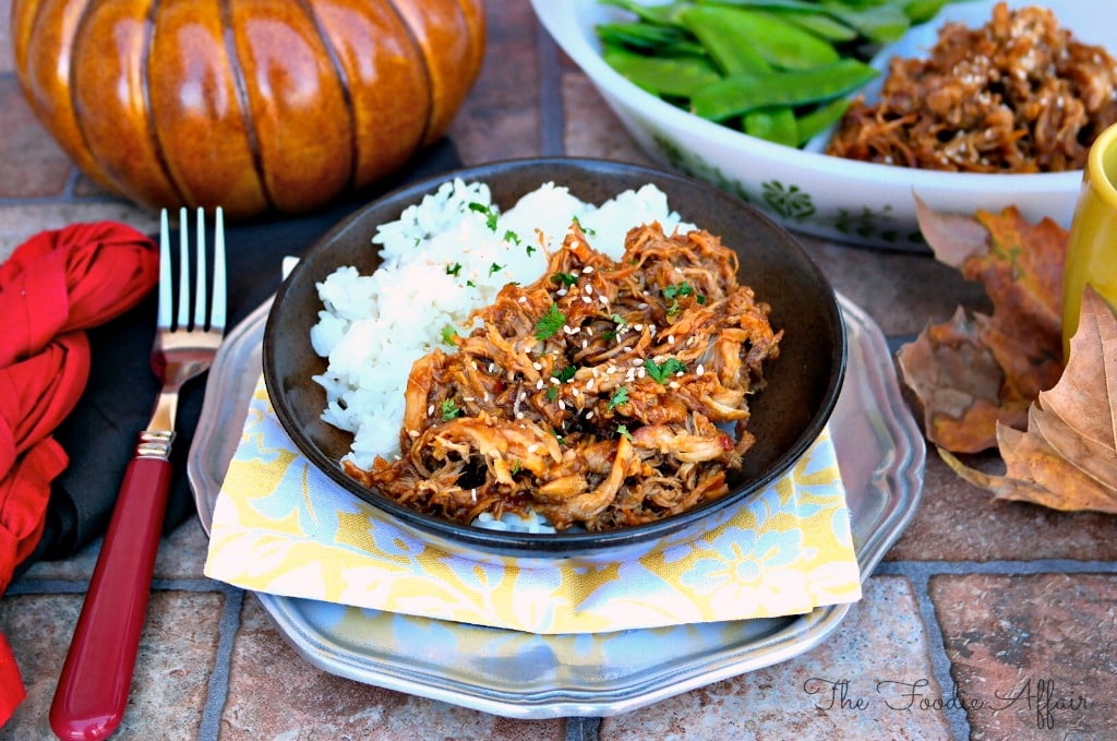 Honey Garlic Shredded Chicken - The Foodie Affair