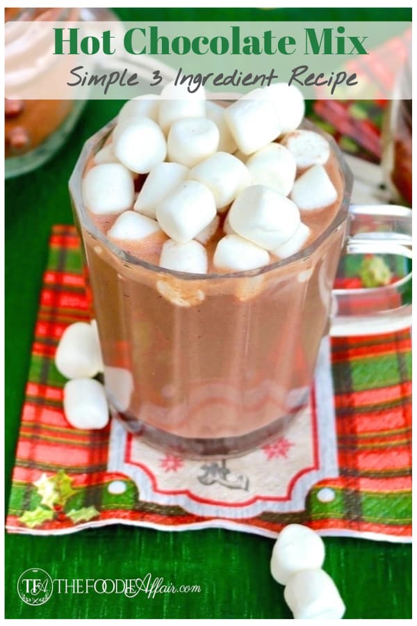 Make your own chocolatey and creamy homemade hot chocolate with three ingredient! This Hot Cocoa Mix recipe makes a great gift and adjustable to sugar-free ingredients! #hotchocolate #diy #drink #chocolate #beverage #thefoodieaffair