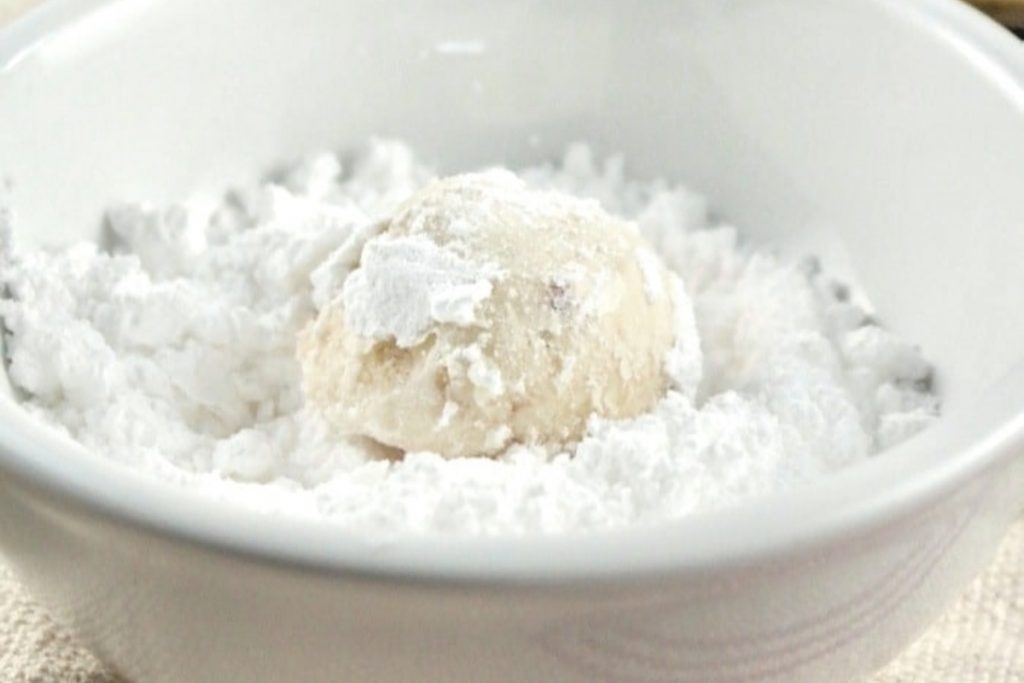 Mexican cookie in powdered sugar.