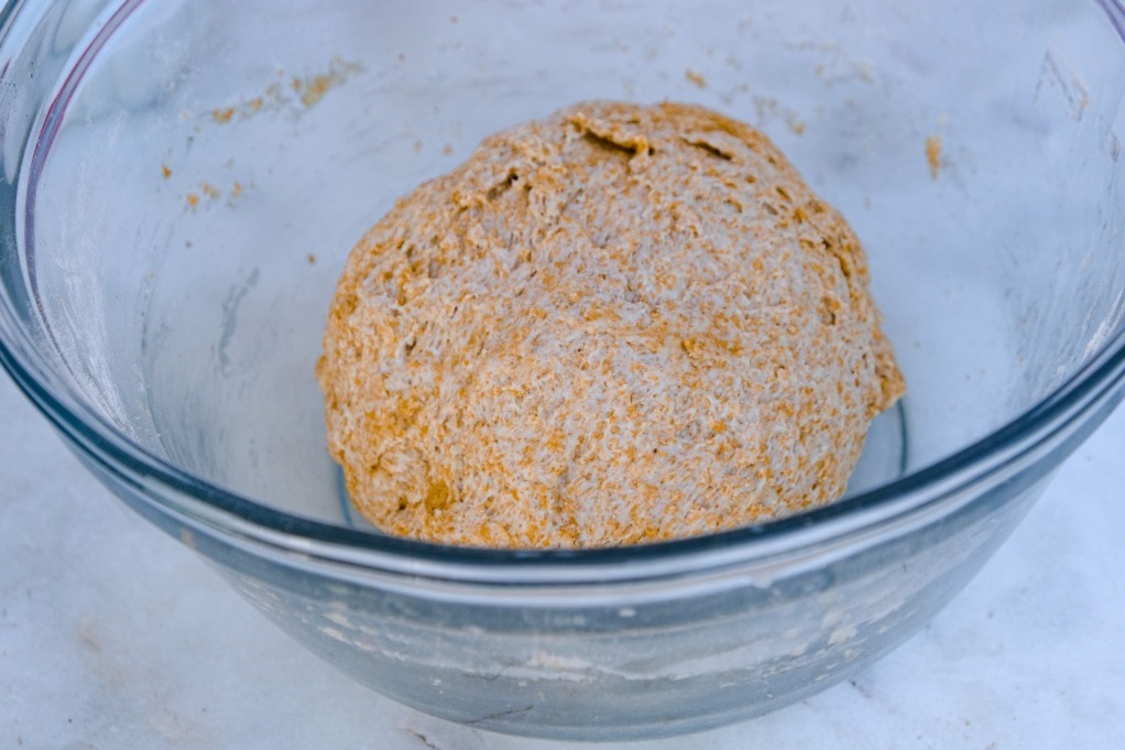 Pizza dough in a mixing bowl resting.