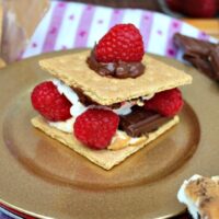 This delicious dessert isn't just for kids! Try Raspberry Smores made with with fresh berries - The Foodie Affair