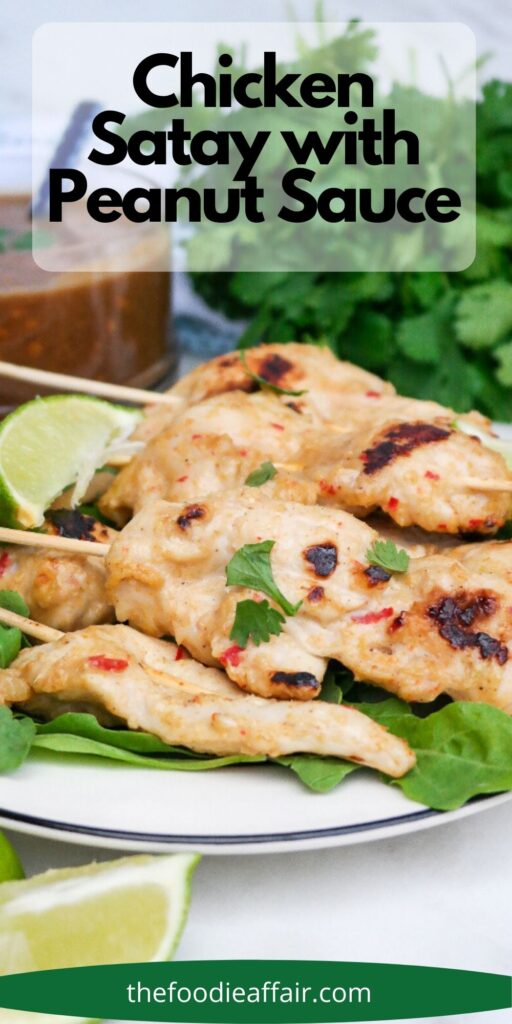 Thai chicken satay with peanut sauce is a simple delicious appetizer or enjoy as a main dish with a couple of side dishes for a hearty meal. #lowcarb #Recipe #Chicken #Satay