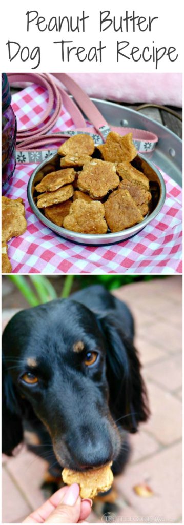 Easy Homemade Peanut Butter Dog Treats