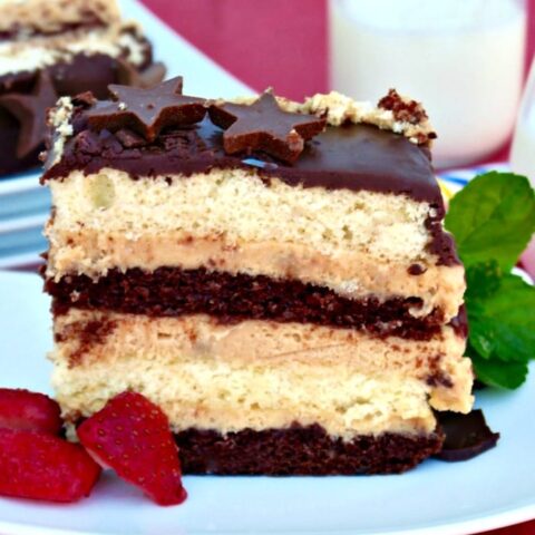This Peanut Butter Mousse Cake has multiple cake layers with a peanut butter filling and then topped with ganache! Decadent dessert for any special occasion! The Foodie Affair