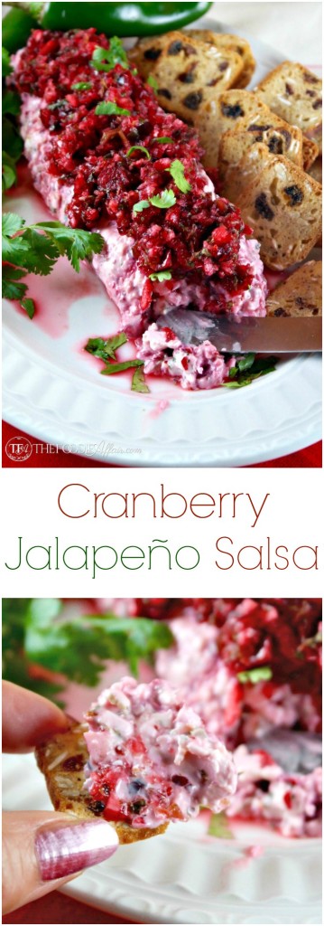 Add this festive Cranberry Jalapeno Salsa to your holiday appetizer menu! No oven or stovetop required! Foodie Affair 