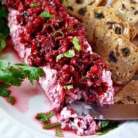 Cranberry Jalapeno Salsa on a white plate