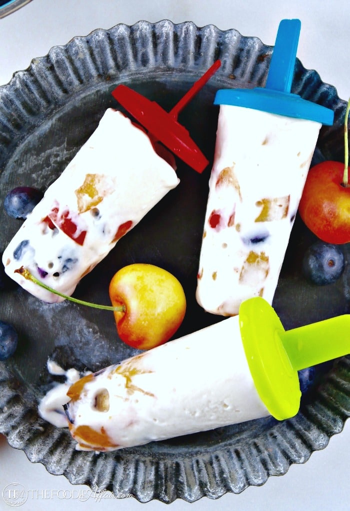 Creamy Protein Ice Cream recipe made with coconut milk, protein powder, greek yogurt, vanilla extract, and any add-ins like blueberries, cherries or chocolate and coconut flakes that you can think of! 