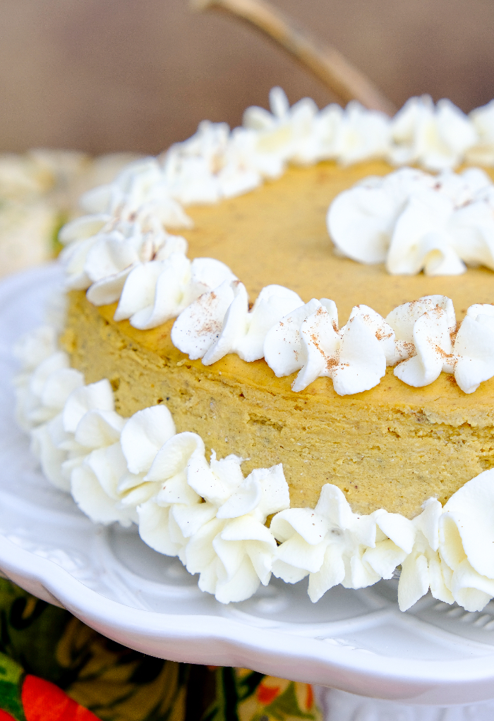 Pumpkin cheesecake on a white cake plate decorated with whipped cream.