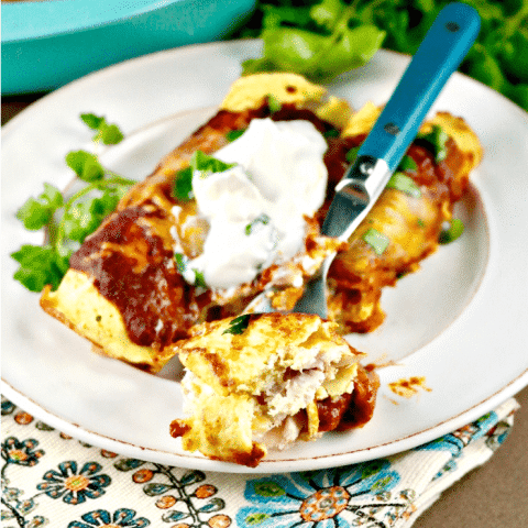 Low Carb Enchiladas with cheesy chicken filling #enchilada #chicken #lowcarb | www.thefoodieaffair.com