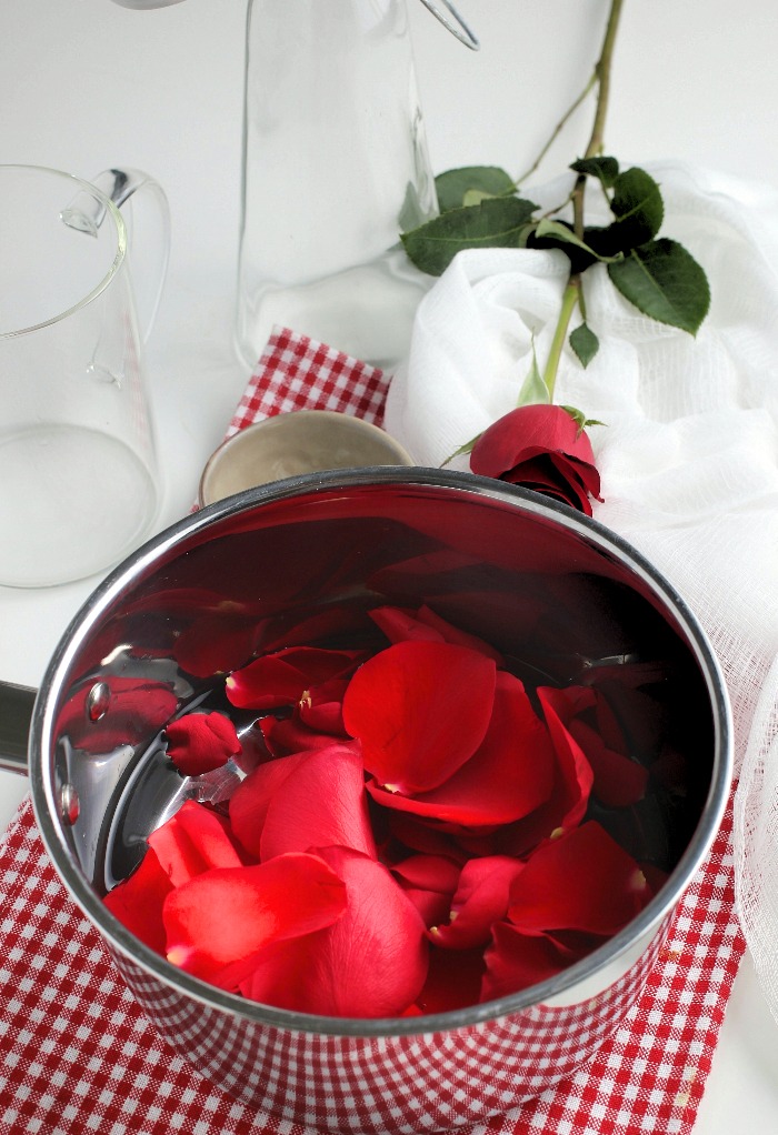 This image shows the beginning of the process for how to make rose water. 