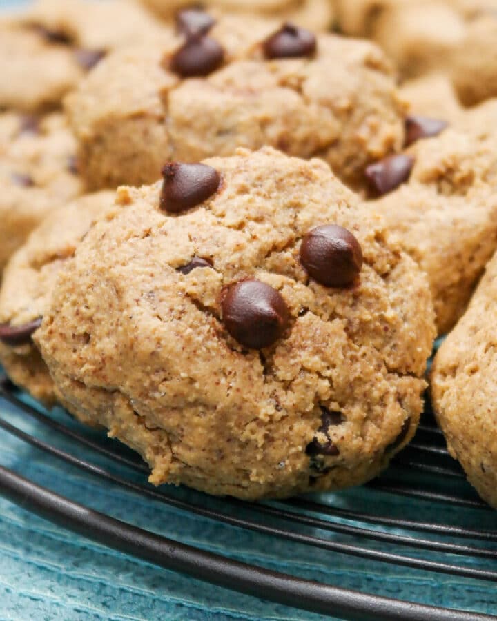Almond butter cookies with chocolate chips on a baking cooking rack.