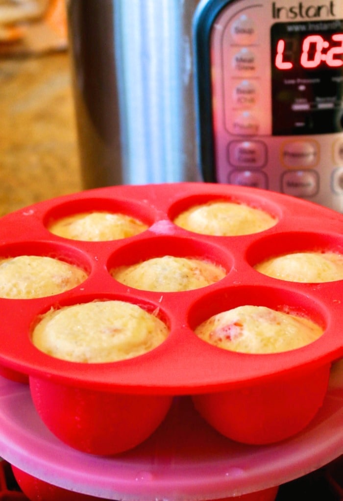 Cooked copycat Starbucks egg bites. 