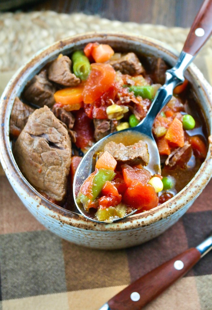 Spoonful of beef with vegetables made in an Instant Pot