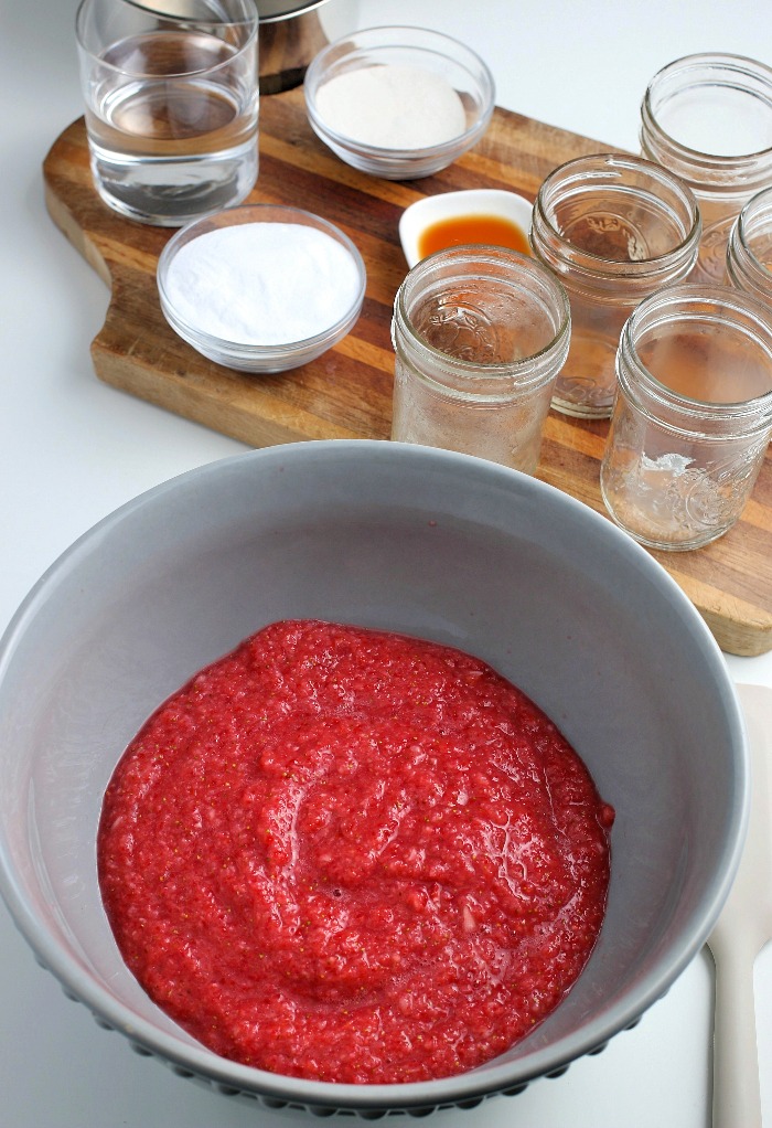 Here we see the blended berries in a bowl ready to have the other ingredients added.