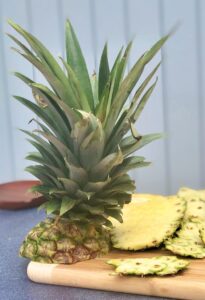 The pineapple crown cut from a fresh pineapple