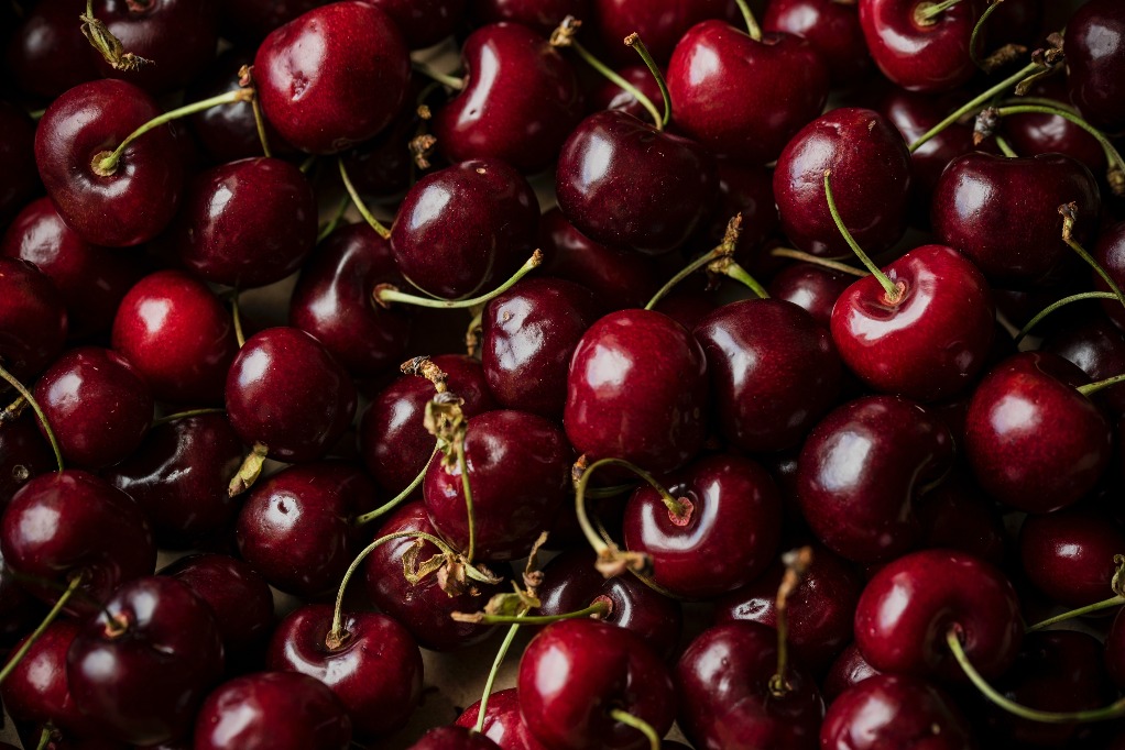 Fresh bing cherries