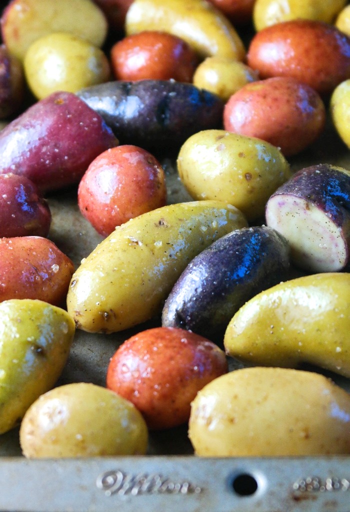 Getting ready to roast fingerling potatoes on a baking sheet.