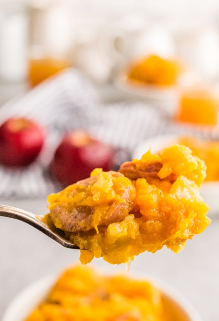 A up close spoonful of mashed sweet potato breakfast bowl. 