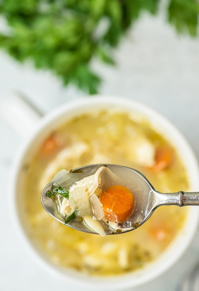 Close view of a spoonful of chicken soup with orzo in a white bowl.