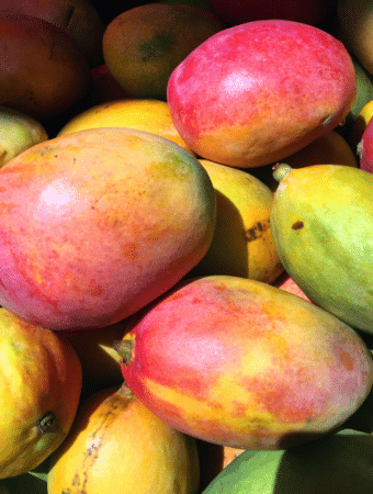 Close view of whole mangos.
