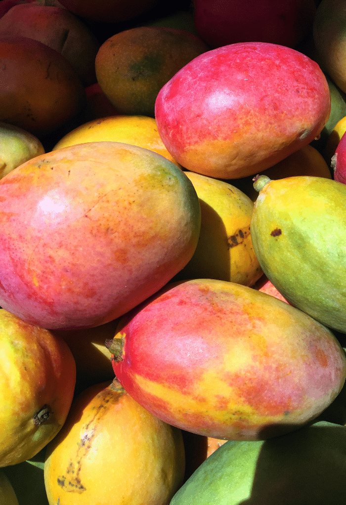 Close view of whole mangos. 
