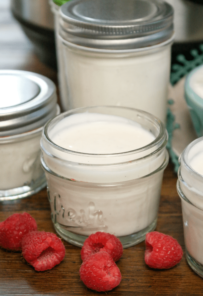 Homemade yogurt in small Mason jars.