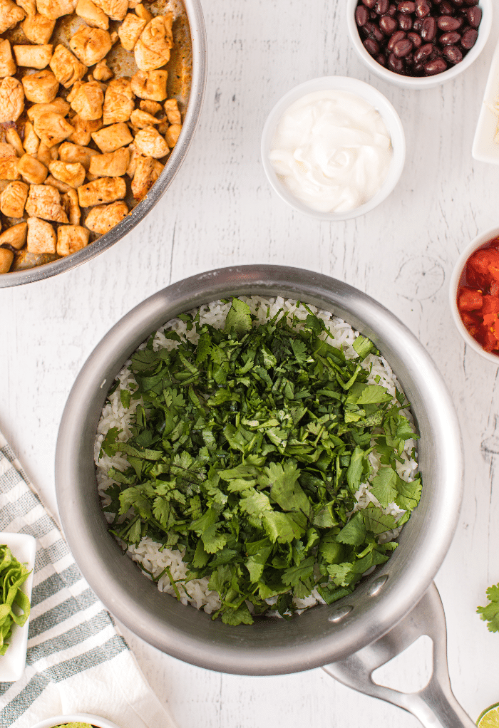 Fresh cilantro on top of white rice.