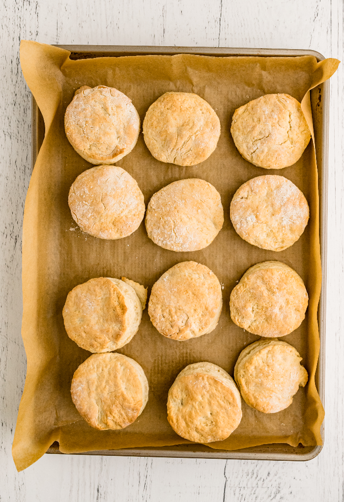 Baked homemade buttermilk biscuits on a baking sheet out of the oven.