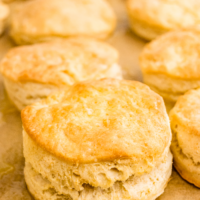Fresh baked buttermilk biscuits on a baking sheet right out of the oven.