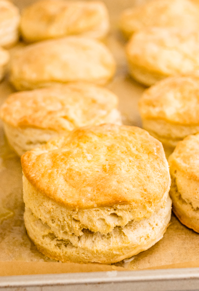 Fresh baked buttermilk biscuits on a baking sheet right out of the oven.