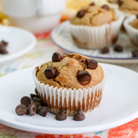 Sugar free muffin with banana, peanut butter and chocolate chips.