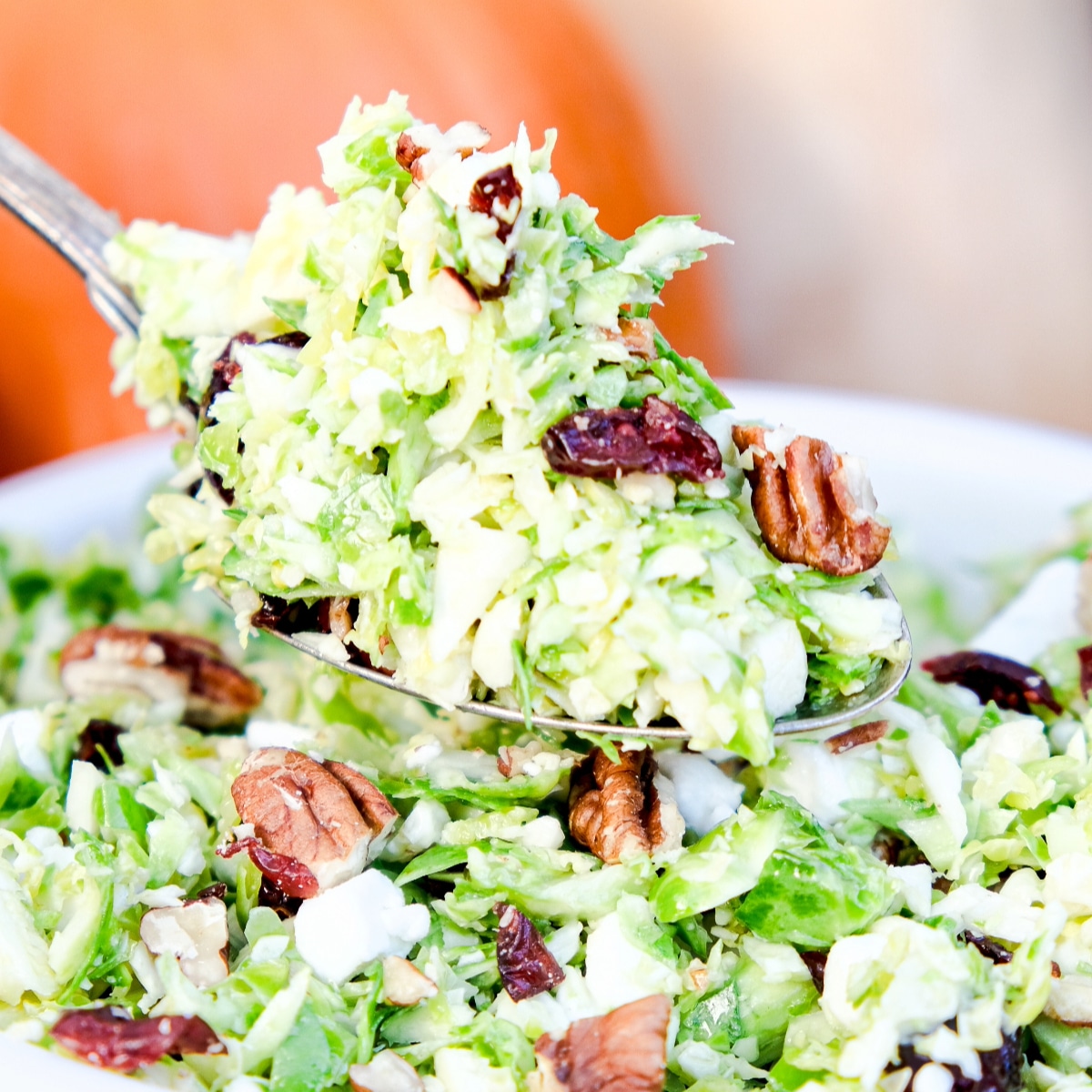 Shaved Brussel Sprout Salad Recipe