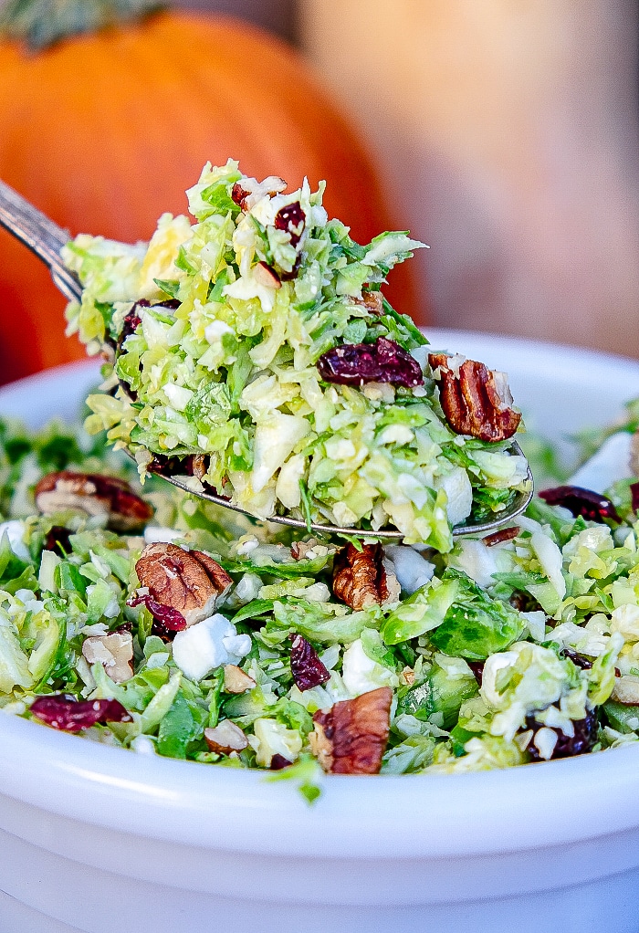 A spoonful of shaved brussel sprout salad with cranberries and pecans with a dijon lemon vinaigrette dressing.